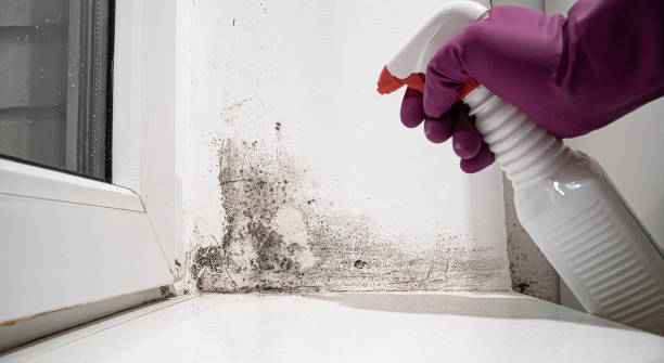 Best Emergency water damage restoration  in New Carrollton, MD